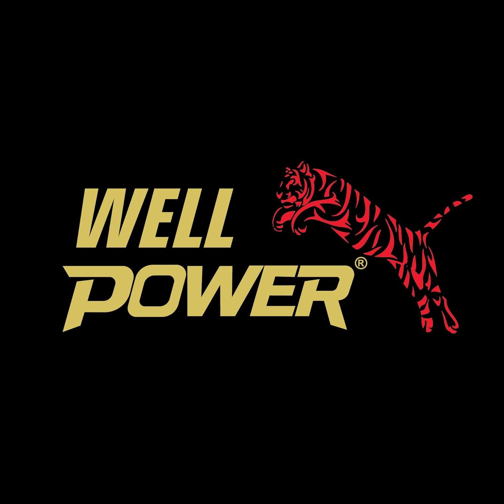 Well Power (ООО "ВЕЛЛ ПОВЕР")